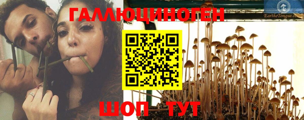 Комсомольск-на-Амуре  дарнет шоп  Псилоцибиновые грибы GOLDEN TEACHER  Вход с VPN  Галлюциногенные грибы Magic Shrooms 
