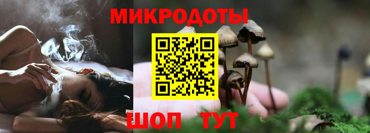 Псилоцибиновые грибы мухоморы Комсомольск-на-Амуре